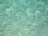 100_1534.JPG